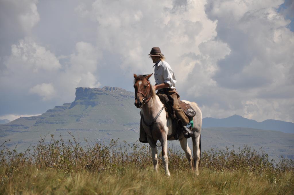 Khotso Lodge & Horse Trails Underberg Zewnętrze zdjęcie