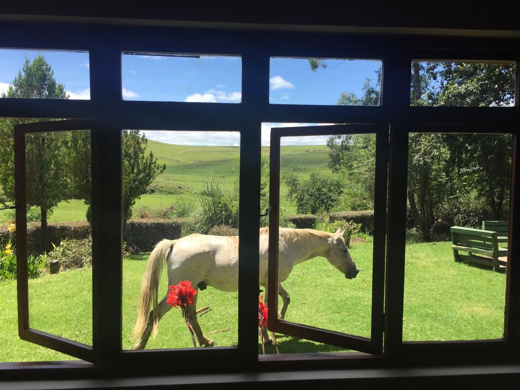 Khotso Lodge & Horse Trails Underberg Zewnętrze zdjęcie